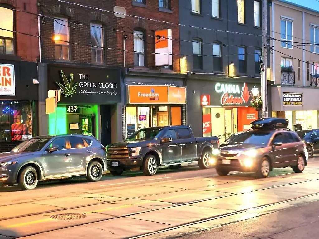 Private Cozy Room In Downtown Toronto, Steps To Subway & Cn Tower